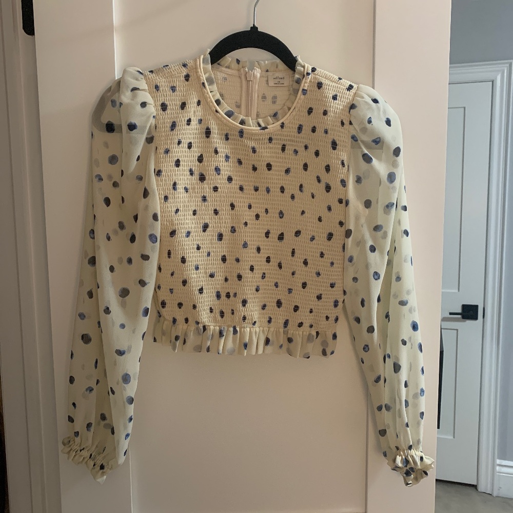 Aritzia Long Sleeve Blouse